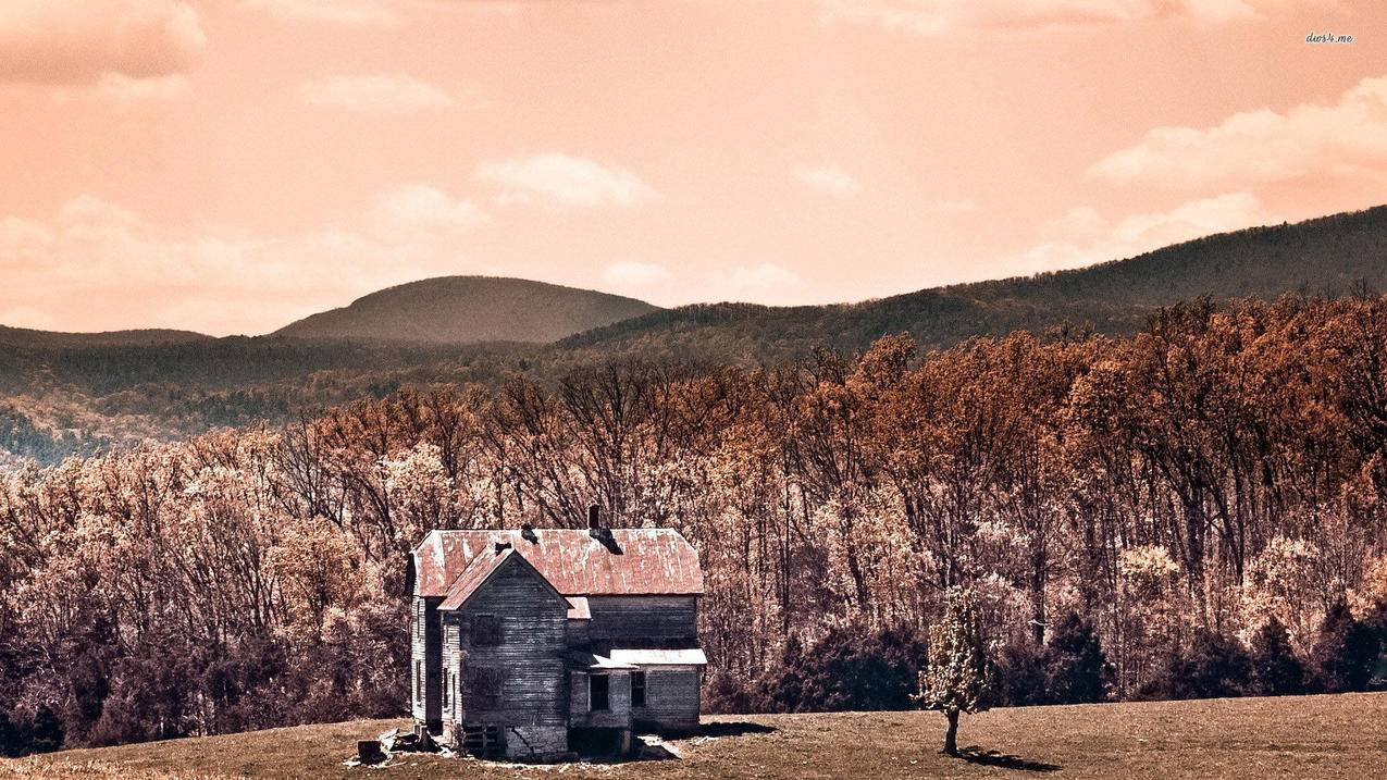 Home